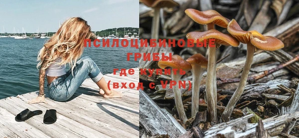 прущий лед Киренск