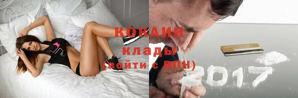 дмт Киреевск