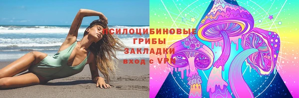 дмт Киреевск