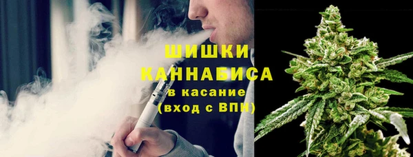 дмт Киреевск