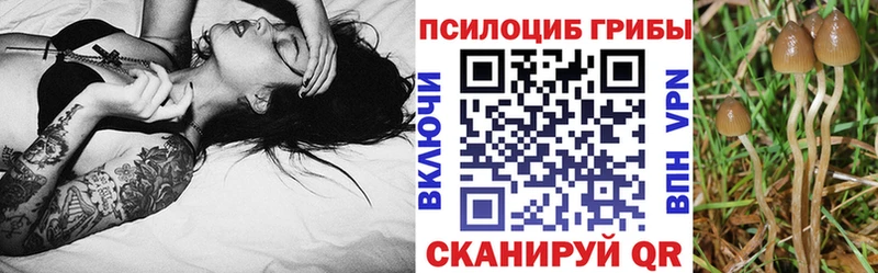 Купить  Багратионовск  Галлюциногенные грибы ЛСД 